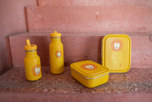 Large Lunch Box - Mr. Lion